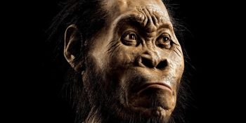 Sizi Güney Afrika’da Bulunan Yeni İnsan Türüyle Tanıştıralım