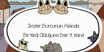 İkizler Burcunun Aslında Bir Kedi Olduğuna Dair 11 Kanıt [Video]