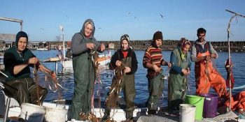 Erkekleri İşsiz Bırakmaya Yemin Vermiş Hadsiz Kadınların Elinin Hamuruyla Giriştiği 11 Meslek
