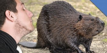 Öğrenildiğinde Ufku İki Katına Çıkaran 10 İlginç Bilgi