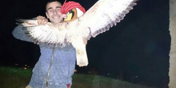 Pokémon Go! Manyaklığının Türkiye’de Başlamasından Sonra Olması Muhtemel 11 Durum