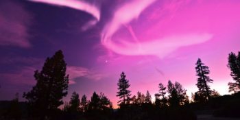 14 Film ile Kuzey Avrupa Sineması