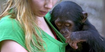 Güzele Bakmayı Sevenler Kulübü: 18 Maddede Skopofili