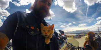 Yanan Kedinin Hayatını Kurtarıp Onunla Bütün Ülkeyi Boydan Boya Gezen Delikanlı Motosikletçi