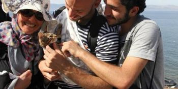 Suriye’den Yunanistan’a Botla Giden Mülteci Kedi: Zeytin