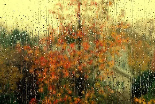 rainy day