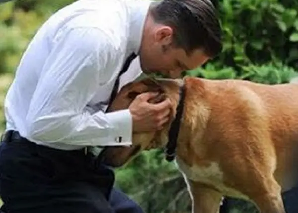 tom hardy cute dogs instagram