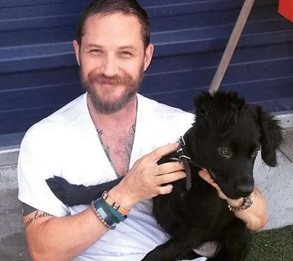 tom hardy cuteness