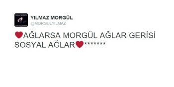 Yılmaz Morgül’ün Twitter Hesabını Kapatıp Antartika’ya Yerleşmesi İçin 9 Neden