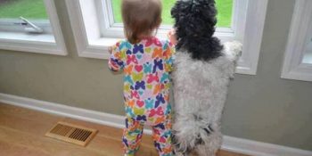 Köpeklerle Büyüyen Bebeklerin Çabucak Öğrendikleri 8 Davranış