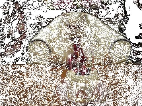 birthday-cat