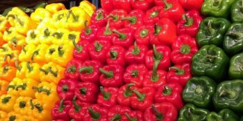 Mükemmeliyetçi İnsanları Zevkten Dört Köşe Yapacak 14 Kusursuz Fotoğraf