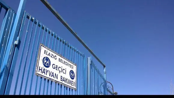 elazig