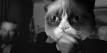 Reklamcıların Kedilerden Öğrenebileceği 9 Ders