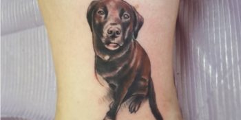 Köpek Seven Herkesin Kalbine Pati Atacak 19 Dövme