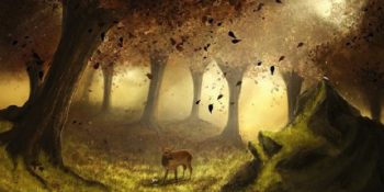 İğneada’yı Nükleer Santrale Kurban Etmemek İçin 11 Büyülü Sebep