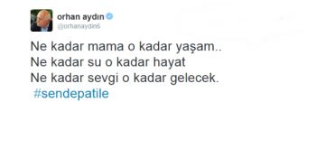 Barınaklardaki Hayvan Dostlarımızı Unutma: #Sendepatile Demek İçin 12 Güzel Sebep