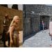 Game of Thrones’un Dubrovnik Setinde Turistik Bir Geziye Çıkan Kadının Objektifinden 10 Harika Fotoğraf