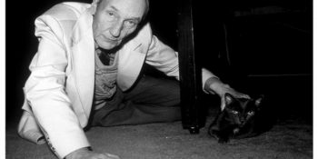 İçinden Kedi Geçen Edebiyat Dünyasına Pati Atmış 14 Harika Kitap