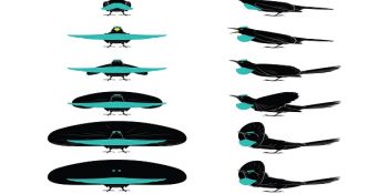 Muhtemelen Varlığından Haberdar Dahi Olmadığımız Hayvanlar (Bölüm 1)