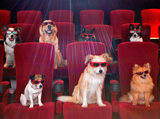 animals-dogs-movies
