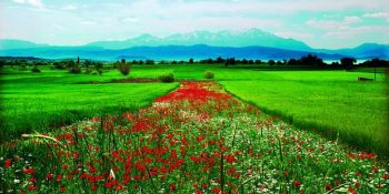 Sıkıntılı Günlerin Çaresi Yaşama Nefes Olan 11 Milli Park