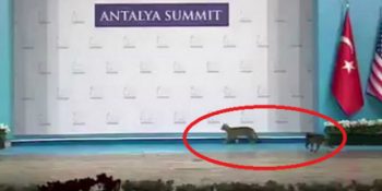 G-20 Liderler Zirvesi’nden Sadece Türkiye’de Yaşanabilecek 8 Sürreal Görüntü