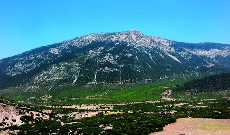 honaz dagi