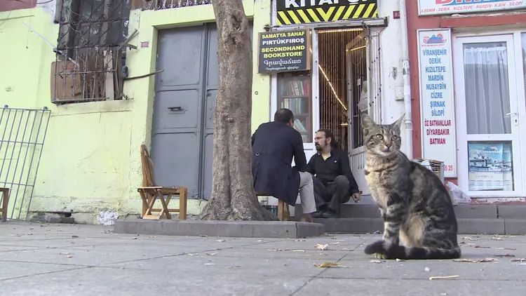 istanbul-sahaf