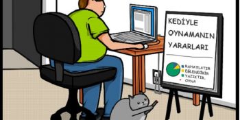 19 Mırnav Adımla Bir Kedinin Amacına Ulaşma Süreci