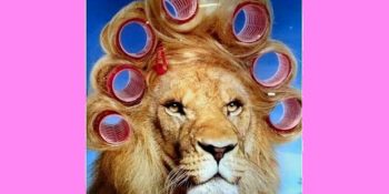 Sadece Kız Kıza Yaşanan Evlerde Rastlayabileceğimiz 11 Durum