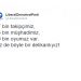 Barajı Geçemese de Seçim Sonrası Tweet’leriyle Moralleri Düzelten LDP’den 12 Paylaşım