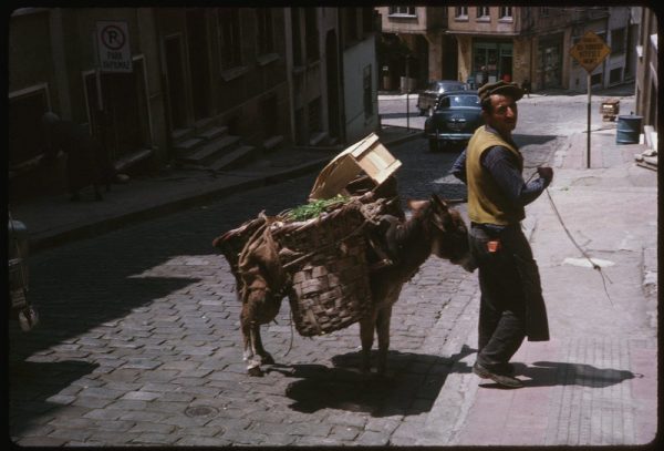 this-vendor-carried-his-goods-on-a-donkey