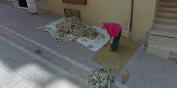 Türk İnsanının Google Street View İle İmtihanından 9 Civcivli Gerçek Kare