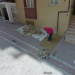 Türk İnsanının Google Street View İle İmtihanından 9 Civcivli Gerçek Kare