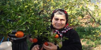 İsmini Köy Sahnesinden Dünya Sahnesine Taşıyan Kadın Ümmiye Koçak’ın Gurur Veren Hikayesi