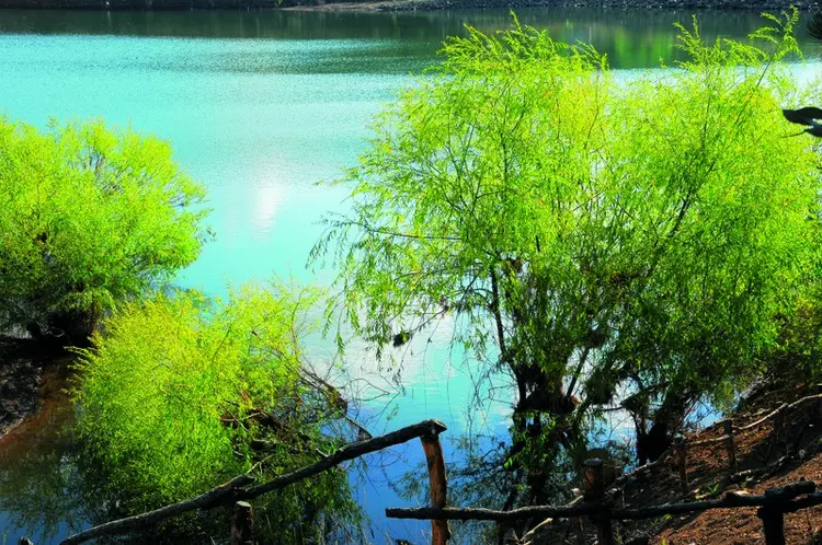 yozgat camligi