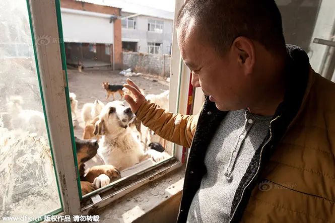 2. wangyan