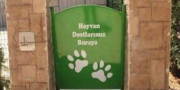 2015’te Kazandığın 5 Çevre Mücadelesi