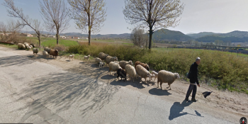12 Örnekle Google Streetview’in Eti, Sütü ve Yününden Yararlanabileceğimiz Yeni Rakibi: Google Sheepview