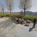 12 Örnekle Google Streetview’in Eti, Sütü ve Yününden Yararlanabileceğimiz Yeni Rakibi: Google Sheepview
