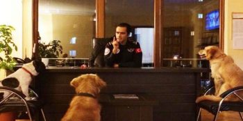 2015’ten Yeni Yıla Umutla Bakmanızı Sağlayacak 14 Mutlu Haber