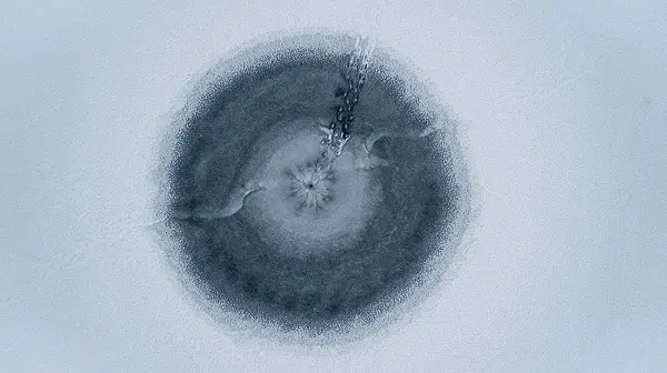 best-drone-phot