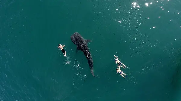 best-drone-photos-2015-d
