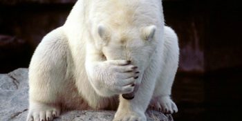 Ofisteki Yılbaşı Partisinin Ardından Başınıza Gelmesi Muhtemel 11 Pişmaniye Durum