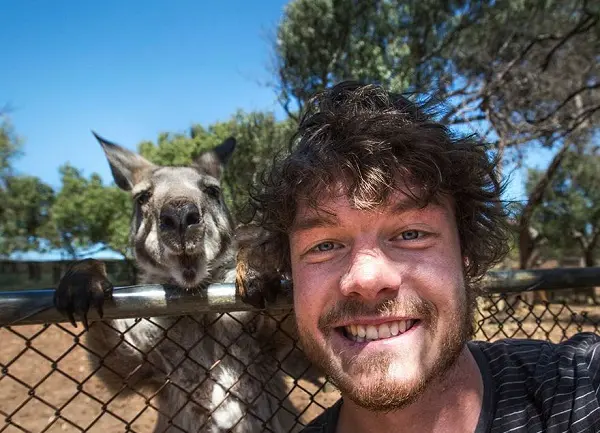 funny-animal-selfies-al