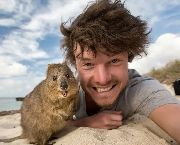 funny-animal-selfies-allan-dixon-13