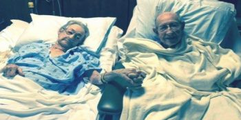 2015’te Aslında Çok da Güzel Şeylerin Olduğunun Kanıtı 19 Fotoğraf