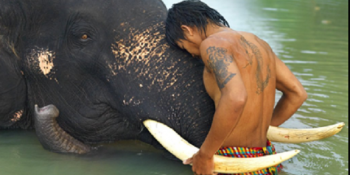 Hayvanlarla Yaşamın En İçten Duygulara Karşılık Geldiğinin 26 Eşsiz Örneği