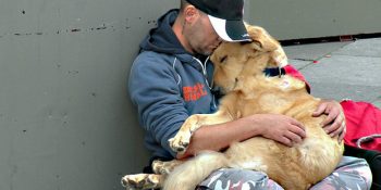 Köpeklerin Paranız Olsa da Olmasa da Sizi Koşulsuz Seveceğinin 13 Kanıtı